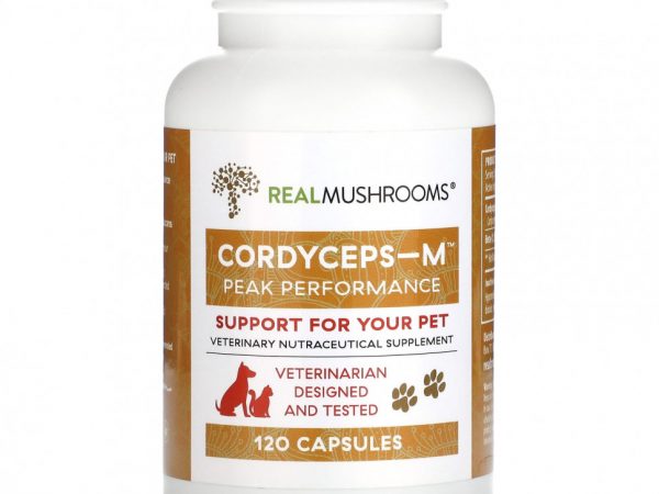 Real Mushrooms, Cordyceps-M, поддержка для вашего питомца, 120 капсул