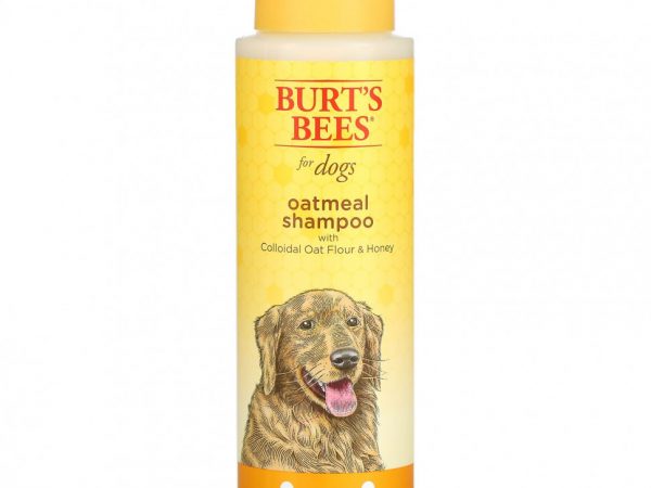 Burt's Bees, Oatmeal Shampoo for Dogs, Colloidal Oat Flour & Honey, 16 fl oz (473 ml)