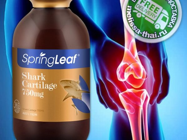 Акулий Хрящ для восстановления суставов и связок SpringLeaf Shark Cartilage 750 mg, 365 капсул Австралия