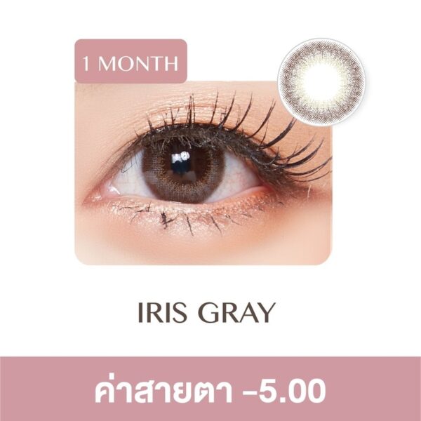 Pegavision Monthly Kaori Iris Gray -5.00 (2 Lens/box) Оригинал