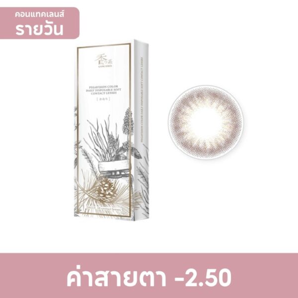 Pegavision Daily Kaori Rosemary Brown -2.50 (10 pcs) Оригинал