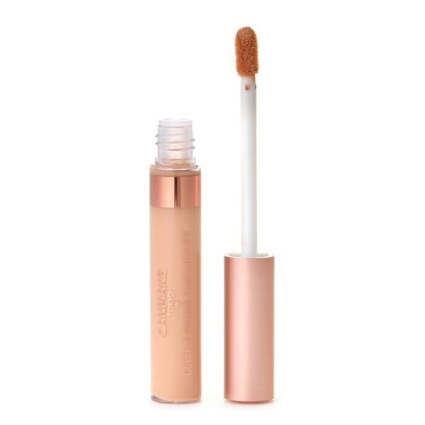 Canmake Cover&Stretch UV Concealer 01 Оригинал