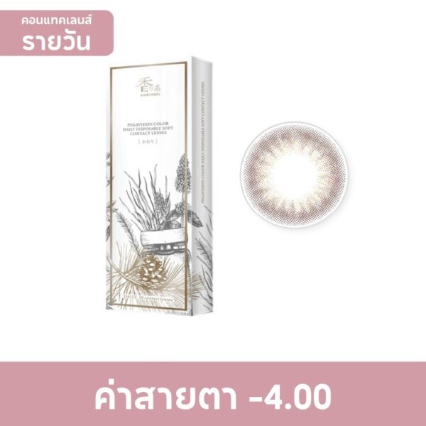 Pegavision Daily Kaori Rosemary Brown -4.00 (10 pcs) Оригинал
